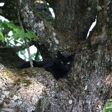 Gaestrum Gnottnehult Osterbymo Εξωτερικό φωτογραφία